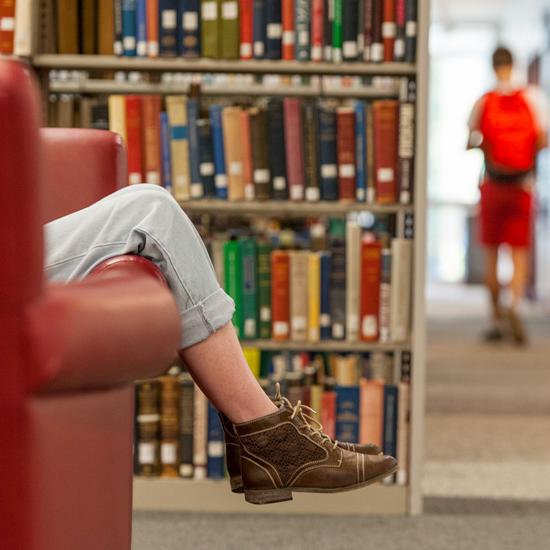 Student studies in the library 